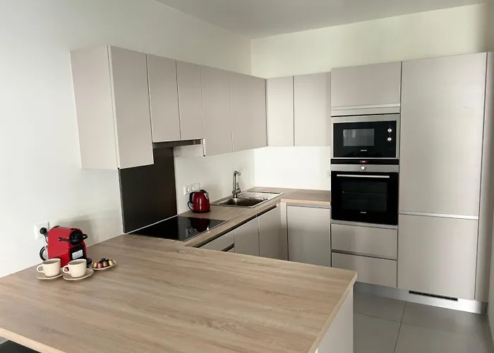 In Center -parking דירה *